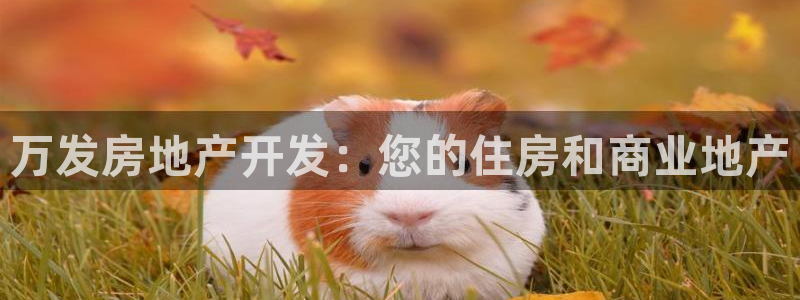 万向娱乐官网网址是什么