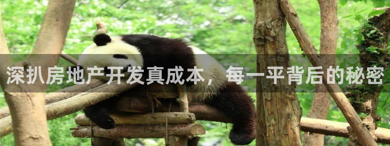 万象国际娱乐网址