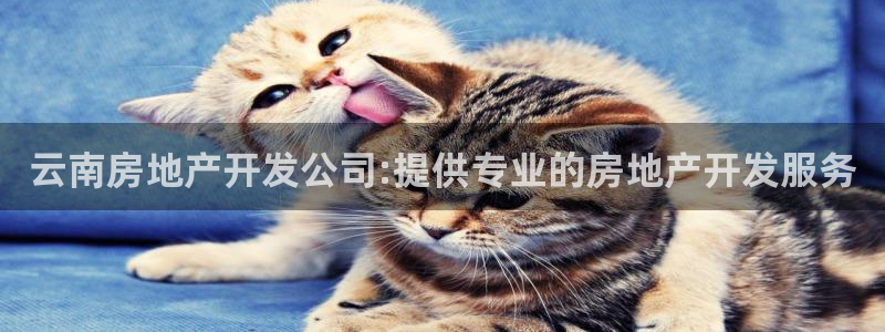万向娱乐代理好看视频是真的吗