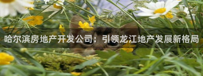 万向娱乐官网首页